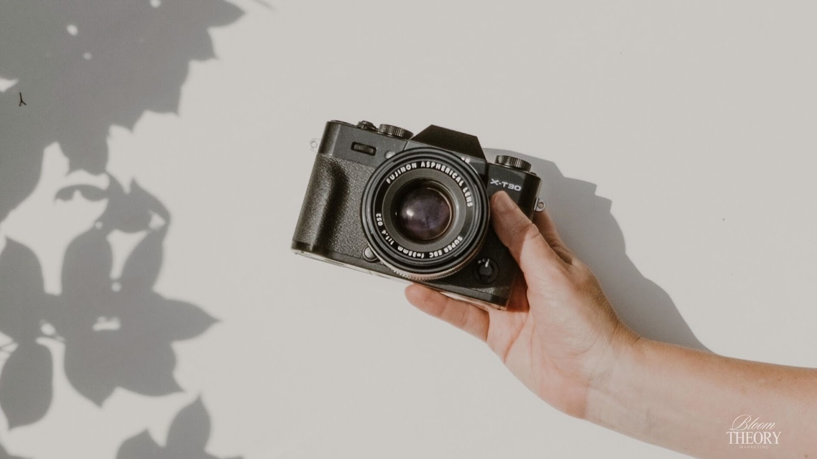 Aesthetic Clinic Social Media Marketing